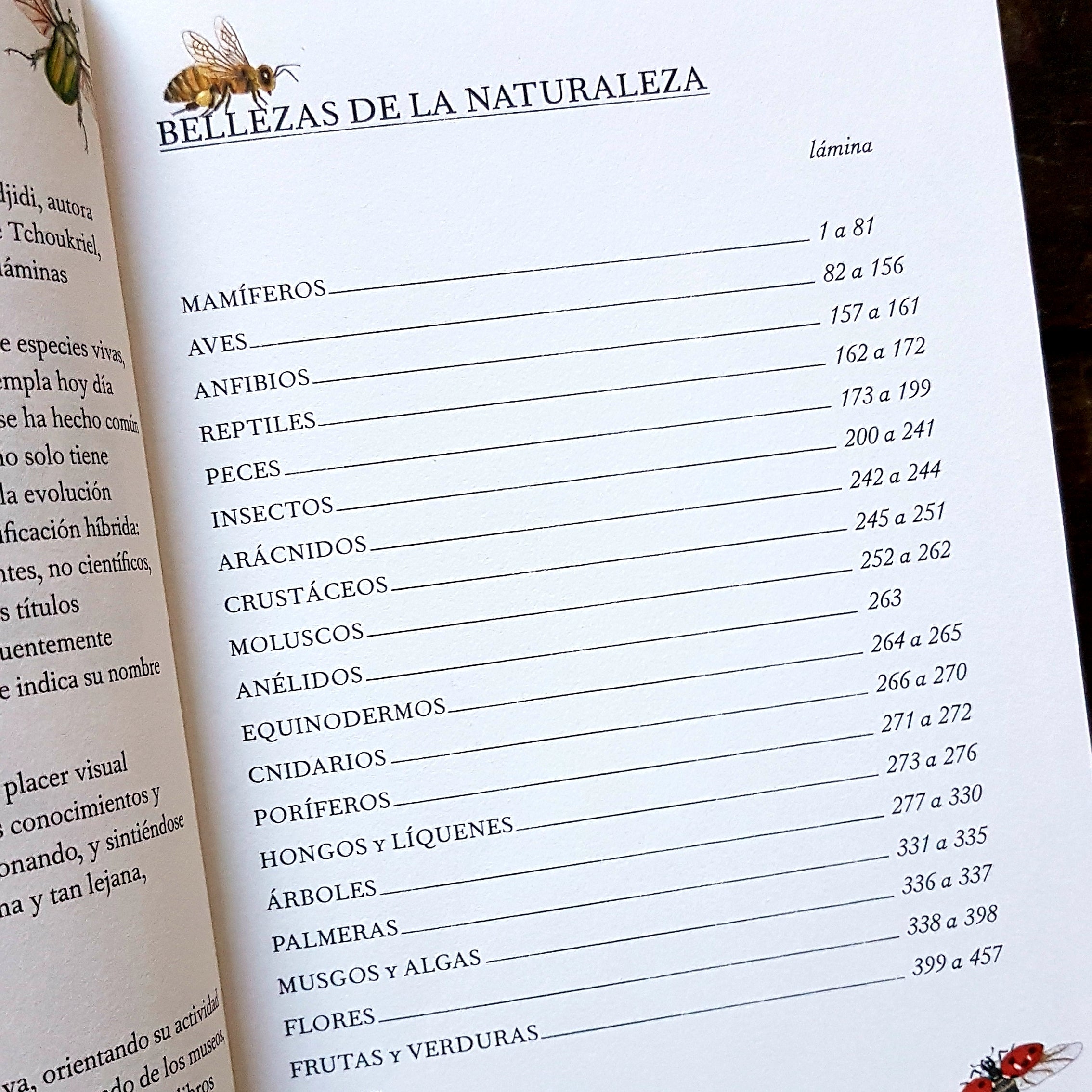 Bellezas de la Naturaleza Bellezas de la Naturaleza